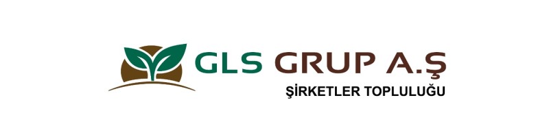 GLS GROUP